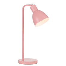 Pivot Iron Gooseneck Desk Lamp